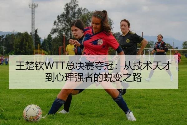 王楚钦WTT总决赛夺冠：从技术天才到心理强者的蜕变之路